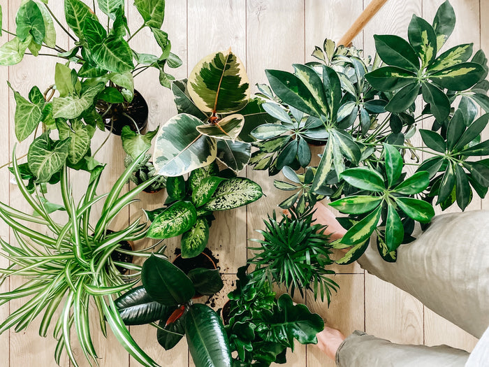 Featured image of article: 