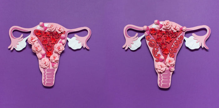 Featured image of article: